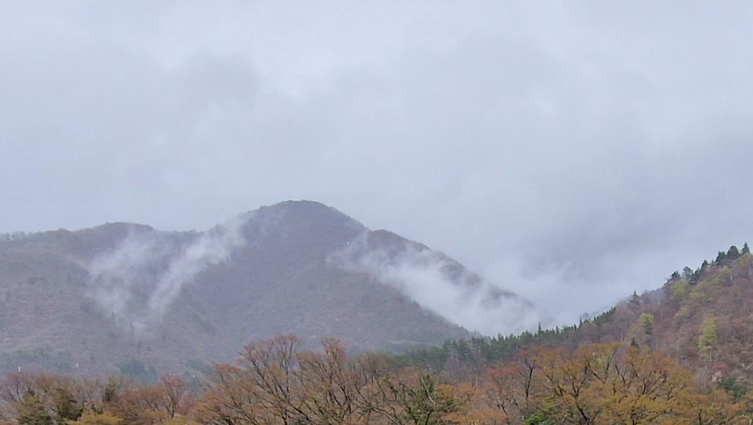 Foto: Bewaldete Berge mit grauem Himmel und Wolken die über die Berge ziehen.